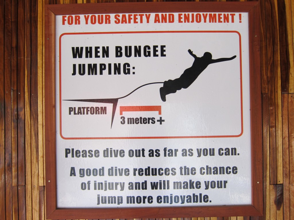Bungee Directions