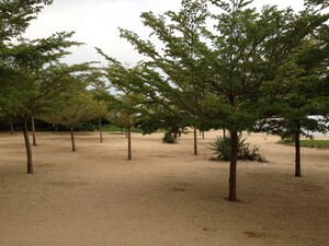 View from Bujumbura Hotel
