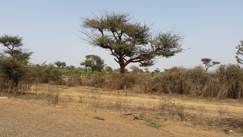 13453317_832042253638_921780957_o