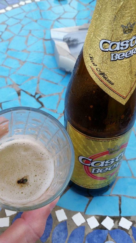 13453374_832041071008_1861346592_o